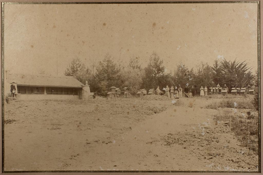 édifice agricole : rucher-miellerie