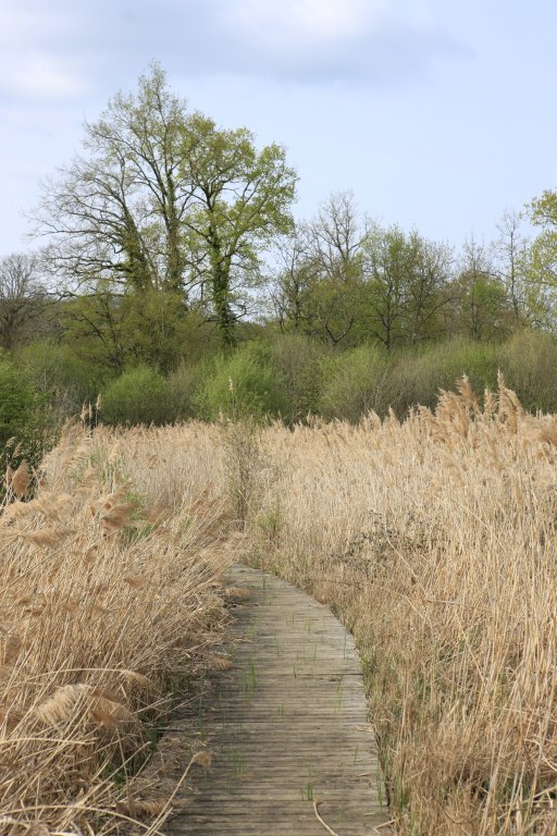 jardin botanique et zoologique, paysage naturel dit Marais de Bonnefont